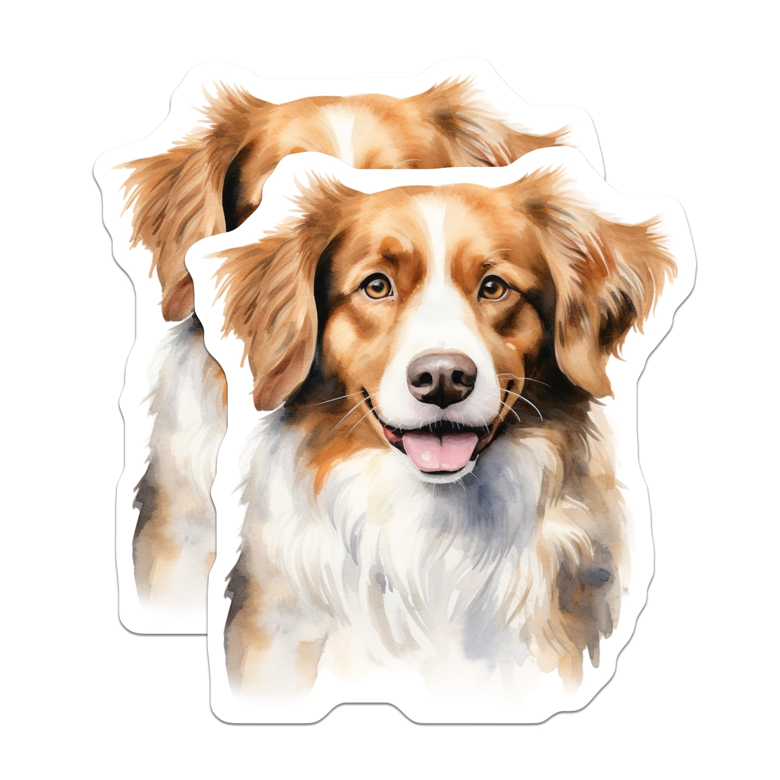 (2 Pack) Australian Shepherd Magnets - Watercolor Happy Dog - Pet Lover Decor - Fridge Art Magnet - 5 Inches On Longest Side - Thick Durable Magnet - Made in USA - MAG23355