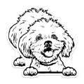 (2 Pack) Cute Dog Stickers - Puppy Dog Face Stickers - Adorable Dog Art Stickers - 5" On Longest Side - Sticks to Smooth Flat Surfaces - Made in USA - BMCS4051