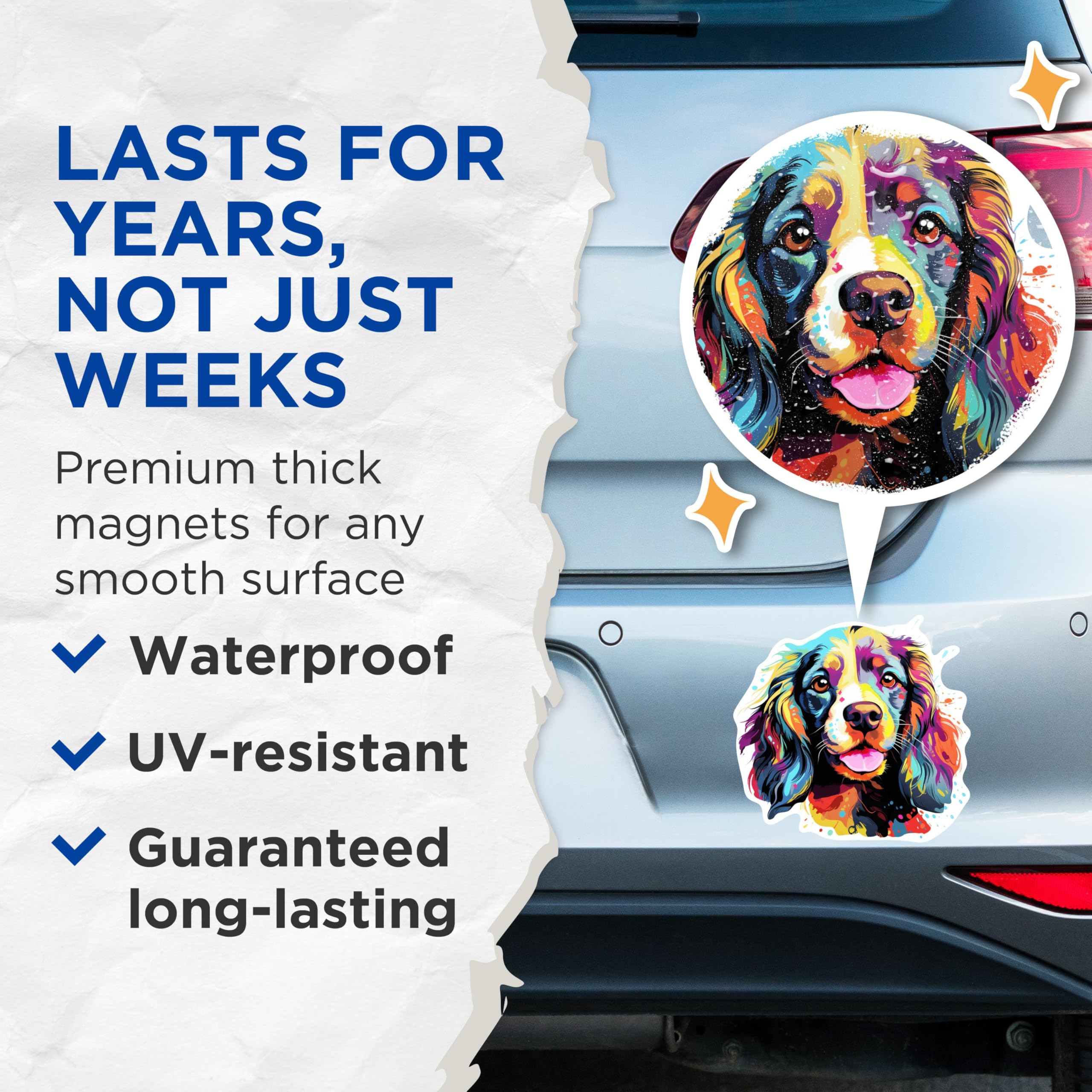 (2 Pack) English Cocker Spaniel Dog Breed Magnets - 5 Inches On Longest Side - Choose from Over 100 Dog Breeds - for Cars, Refrigerators, Toolboxes - Made in USA - MAG1850