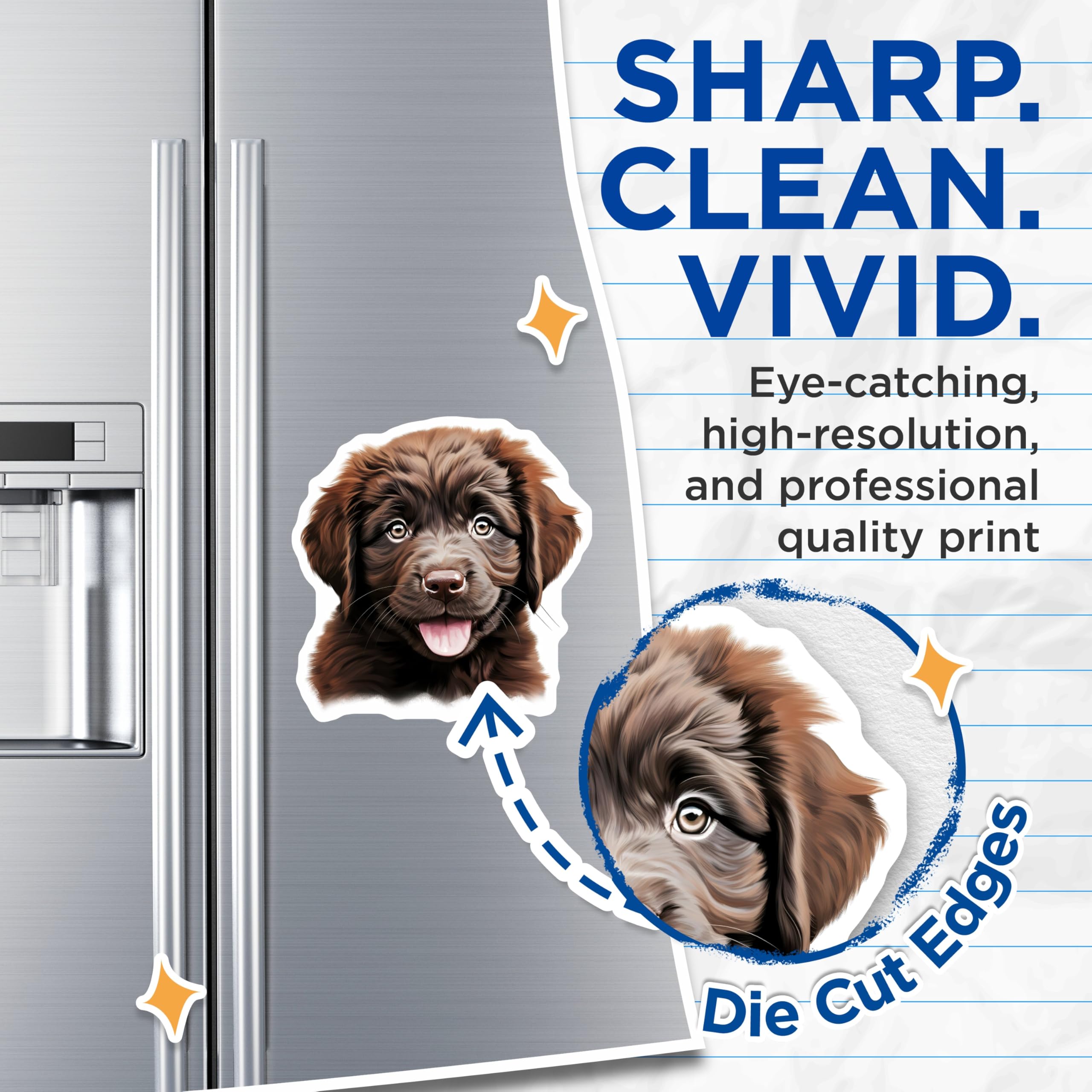 (2 Pack) Chocolate Lab Puppy Magnets - Cute Dog Lover - Pet Parent Decor - 5 Inches On Longest Side - Thick Durable Magnet - Made in USA - MAG30637