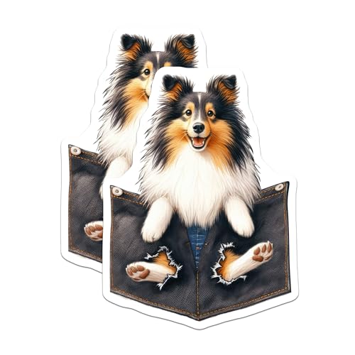 (2 Pack) Sheltie Dog Magnets - Cute Dog Refrigerator - Pet Lover Kitchen ation - 5" On Longest Side - for Cars, Fridges, Toolboxes - Made in USA - MAG4400