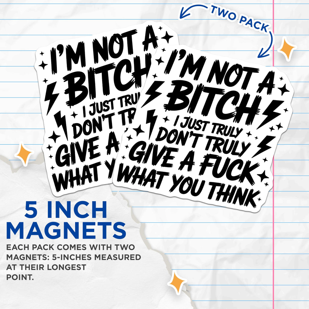 (2 Pack) Sarcastic Quote Magnets - Rude Phrase - Statement Magnets - 5" On Longest Side - Premium Magnet - for Cars, Refrigerators, Toolboxes, Lockers - Made in USA - MAG14114