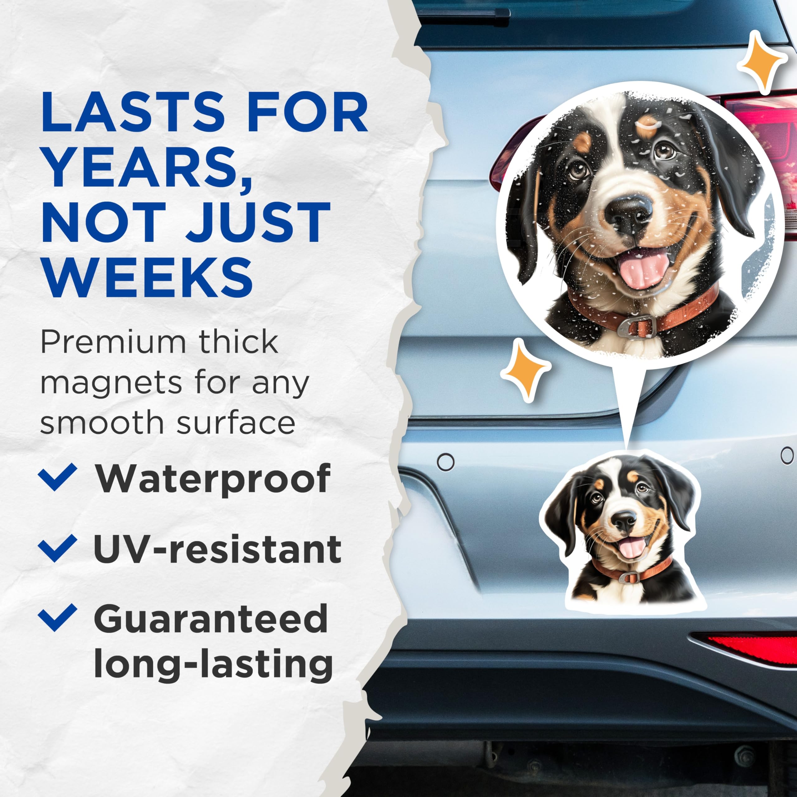 (2 Pack) Bernese Mountain Dog Puppy Magnets - Cute Dog Lover Fridge Decor - Tri Color Berner Mom Dad Animal Lover - 5 Inches On Longest Side - Thick Durable Magnet - Made in USA - MAG30428