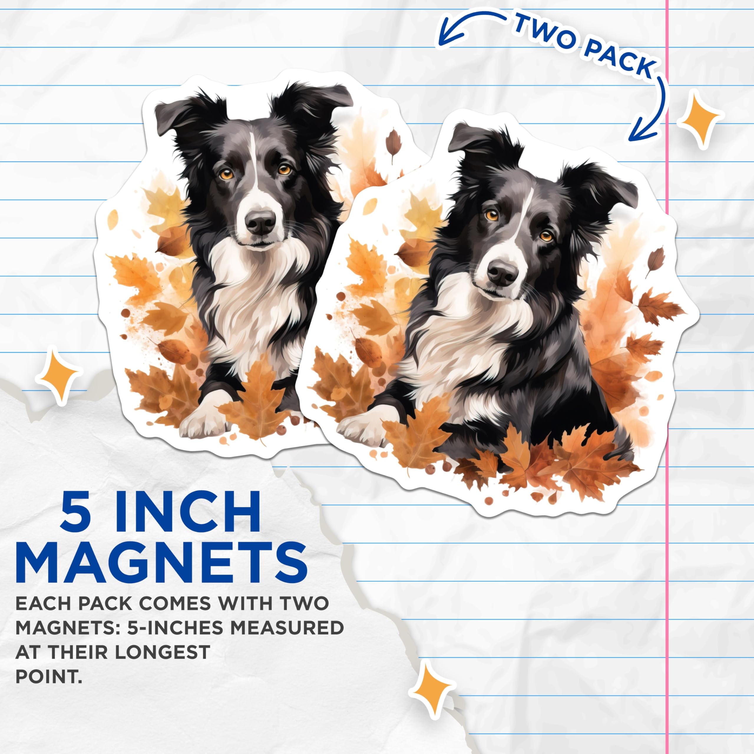 (2 Pack) Border Collie Magnets - Autumn Dog Lover Home Decor - Fall Refrigerator Kitchen Magnet Set - 5 Inches On Longest Side - Thick Durable Magnet - Made in USA - MAG28449