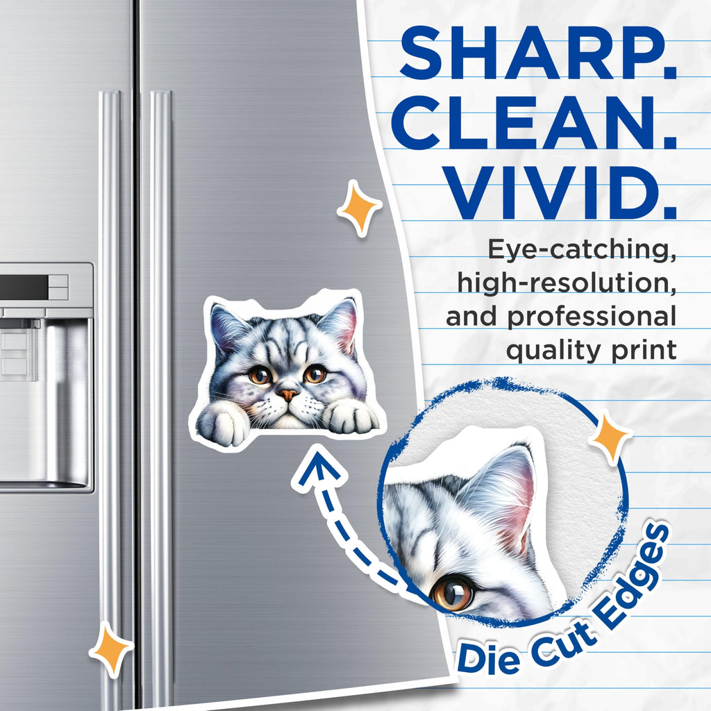 (2 Pack) Tabby Cat Magnets - Silver Tabby Kitten - Refrigerator Decor for Cat Lovers - 5" On Longest Side - Premium Magnet - for Cars, Refrigerators, Toolboxes, Lockers - Made in USA - MAG14537