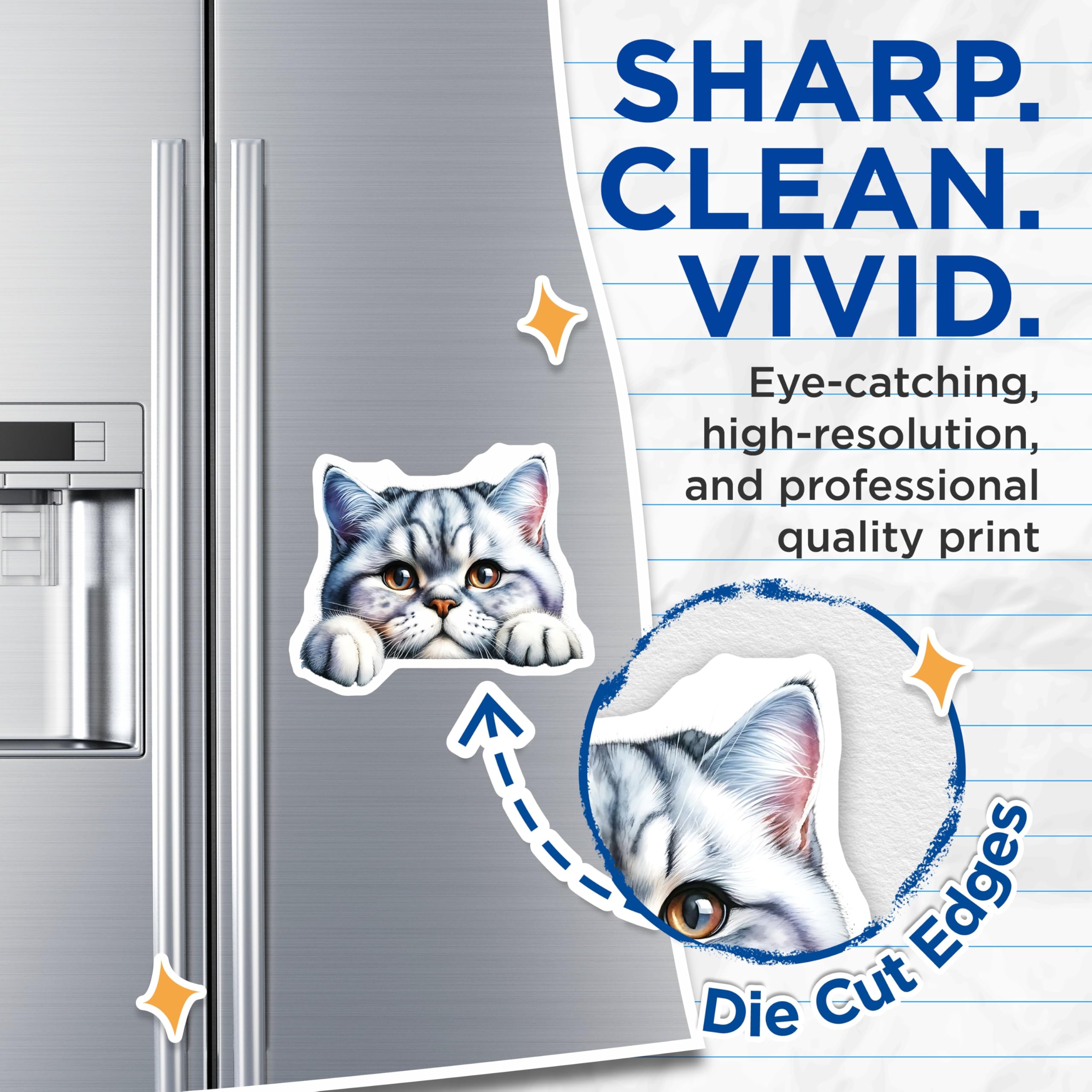 (2 Pack) Tabby Cat Magnets - Silver Tabby Kitten - Refrigerator Decor for Cat Lovers - 5" On Longest Side - Premium Magnet - for Cars, Refrigerators, Toolboxes, Lockers - Made in USA - MAG14537