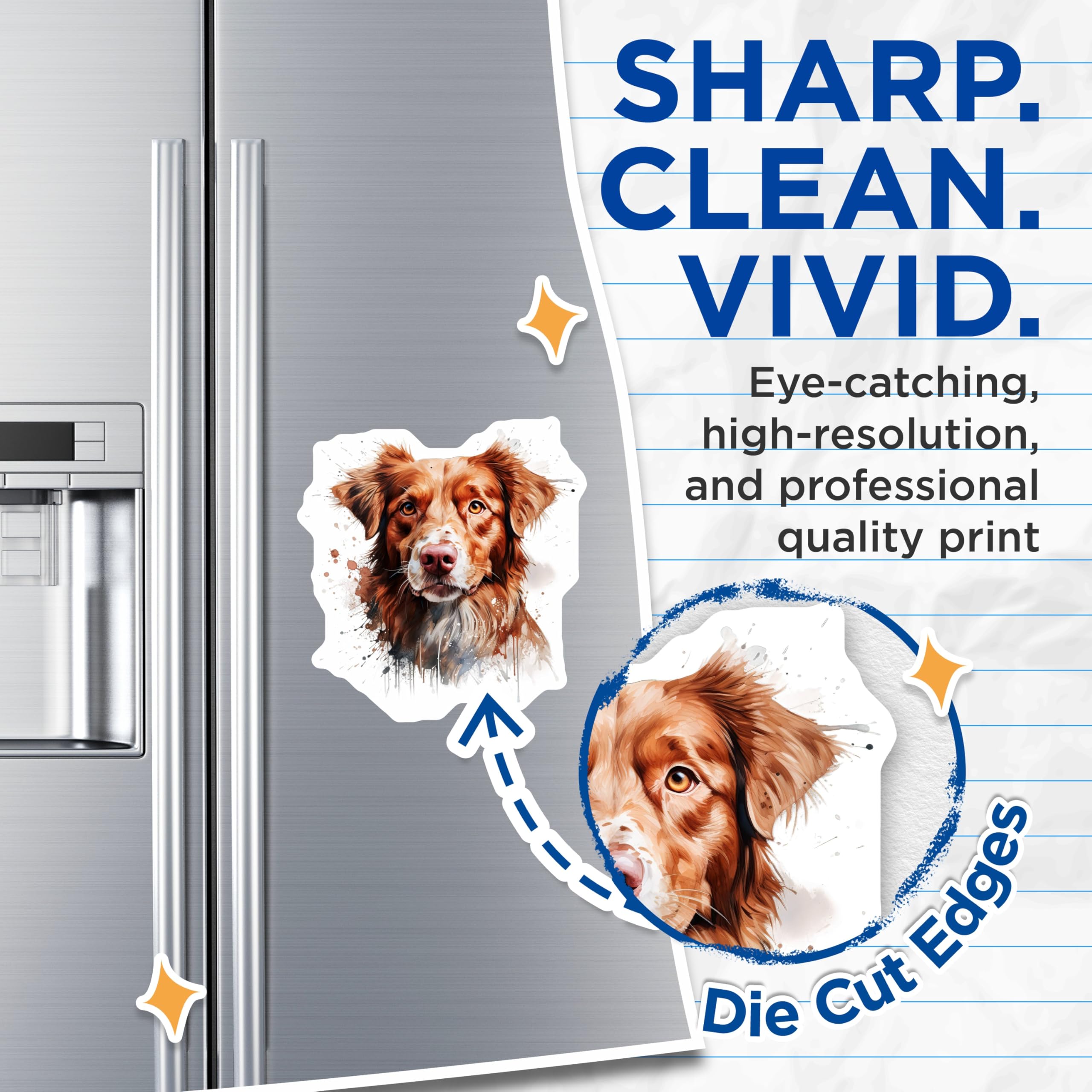 (2 Pack) Watercolor Dog Magnets - Toller Style Dog Lover - Pet Fridge Decor - 5 Inches On Longest Side - Thick Durable Magnet - Made in USA - MAG29130