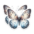 (2 Pack) Ethereal Butterfly Magnets - Mystical Insect Decor - Nature Inspired Art for Fridge - 5 Inches On Longest Side - Thick Durable Magnet - Made in USA - MAG37451
