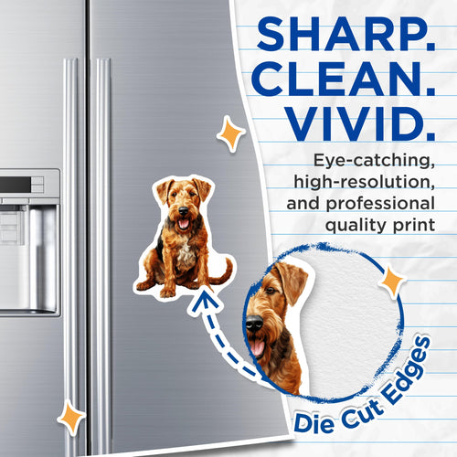 (2 Pack) Airedale Terrier Magnets - Cheerful Dog Breed Art - Pet Lover Refrigerator Decor - Canine Home Accent Display - 5 Inches On Longest Side - Thick Durable Magnet - Made in USA - MAG23945