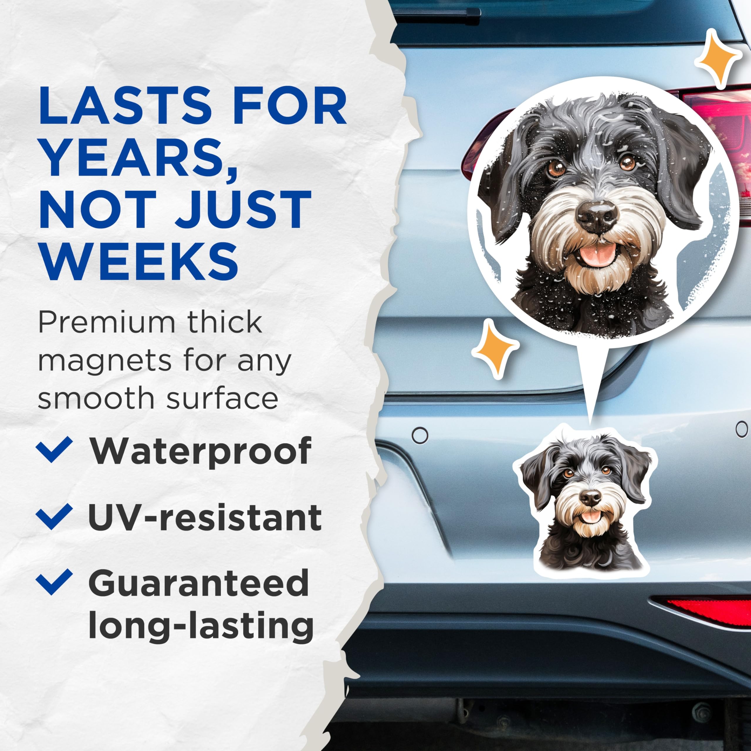 (2 Pack) Adorable Schnauzer Dog Magnets - Pet Lover Refrigerator Decor - Scruffy Terrier Companion Collectibles - 5 Inches On Longest Side - Thick Durable Magnet - Made in USA - MAG27080