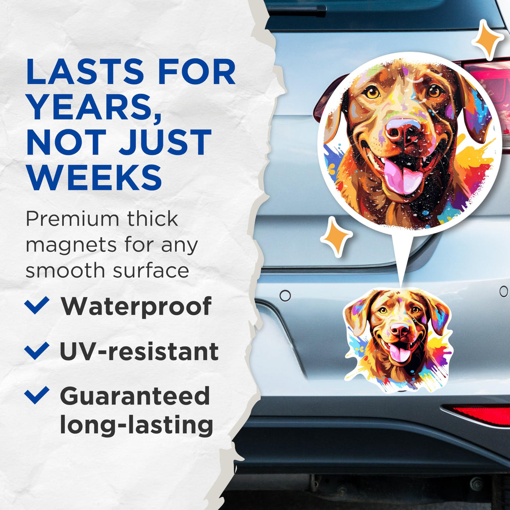 (2 Pack) Chesapeake Bay Retriever Dog Breed Magnets - 5 Inches On Longest Side - Choose from Over 100 Dog Breeds - for Cars, Refrigerators, Toolboxes - Made in USA - MAG1823