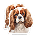 (2 Pack) Cavalier King Charles Spaniel Magnets - Dog Lover Decor - Pet Breed Art Fridge - 5 Inches On Longest Side - Thick Durable Magnet - Made in USA - MAG25186
