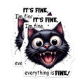 (2 Pack) Funny Cat Magnets - Crazy Cat Lady - Sarcastic Black Cat Magnet - 5" On Longest Side - Premium Magnet - for Cars, Refrigerators, Toolboxes, Lockers - Made in USA - MAG14977