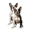 (2 Pack) Boston Terrier Dog Magnets - Cute Pet Owner Decor - Animal Lover Collectible - 5 Inches On Longest Side - Thick Durable Magnet - Made in USA - MAG25195