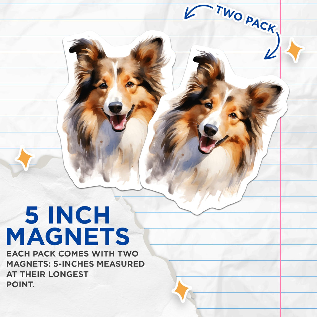 (2 Pack) Sheltie Dog Magnets - Watercolor Shetland Sheepdog Art - Dog Mom Fridge Decor - Pet Owner Kitchen Accent - 5 Inches On Longest Side - Thick Durable Magnet - Made in USA - MAG30779