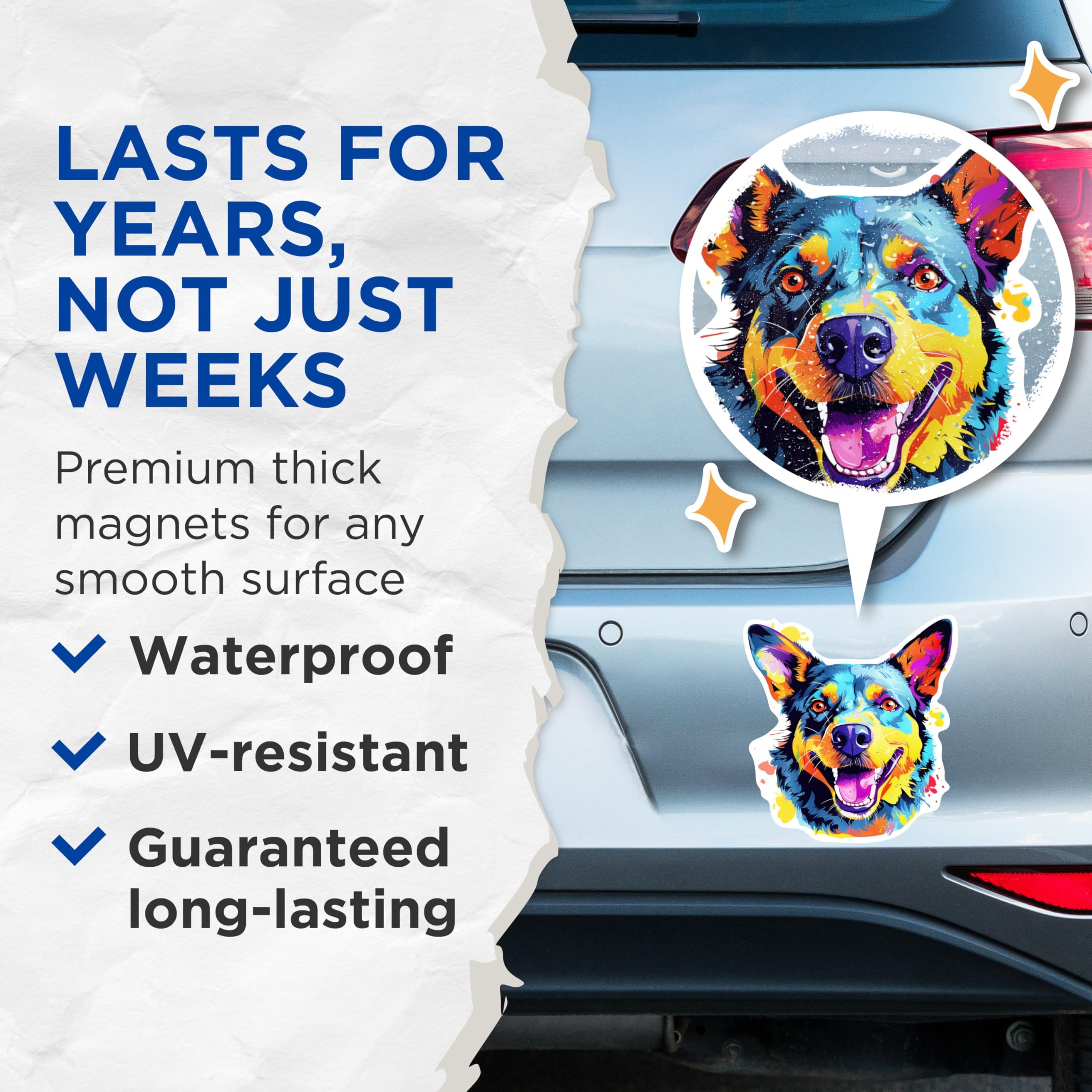 (2 Pack) Australian Cattle Dog Breed Magnets - 5 Inches On Longest Side - Choose from Over 100 Dog Breeds - for Cars, Refrigerators, Toolboxes - Made in USA - MAG1758
