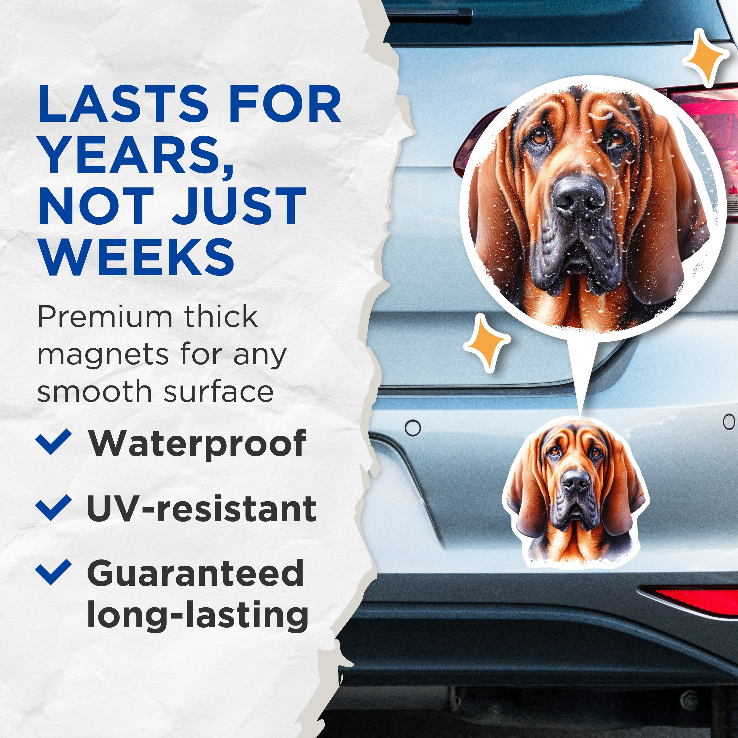 (2 Pack) Bloodhound Dog Magnets - Realistic Canine Portrait - Pet Lover Refrigerator Decor - Dog Parent Appreciation - 5 Inches On Longest Side - Thick Durable Magnet - Made in USA - MAG36406