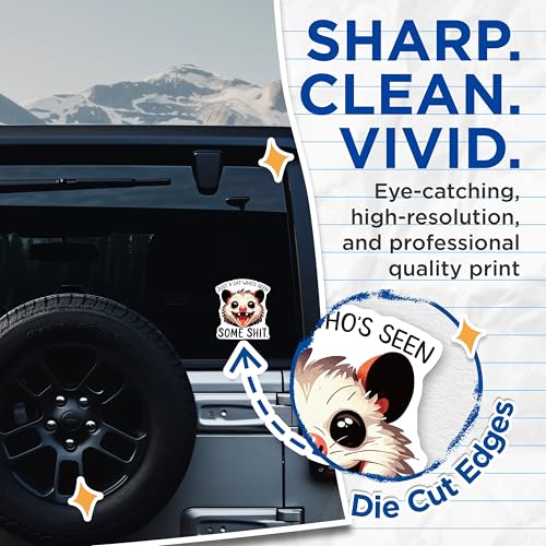 (2 Pack) Just a Cat Who's Seen Some Stuff Stickers - Funny Animal Stickers - Cute Possum Sticker - 5" On Longest Side - Sticks to Smooth Flat Surfaces - Made in USA - BMCS6082