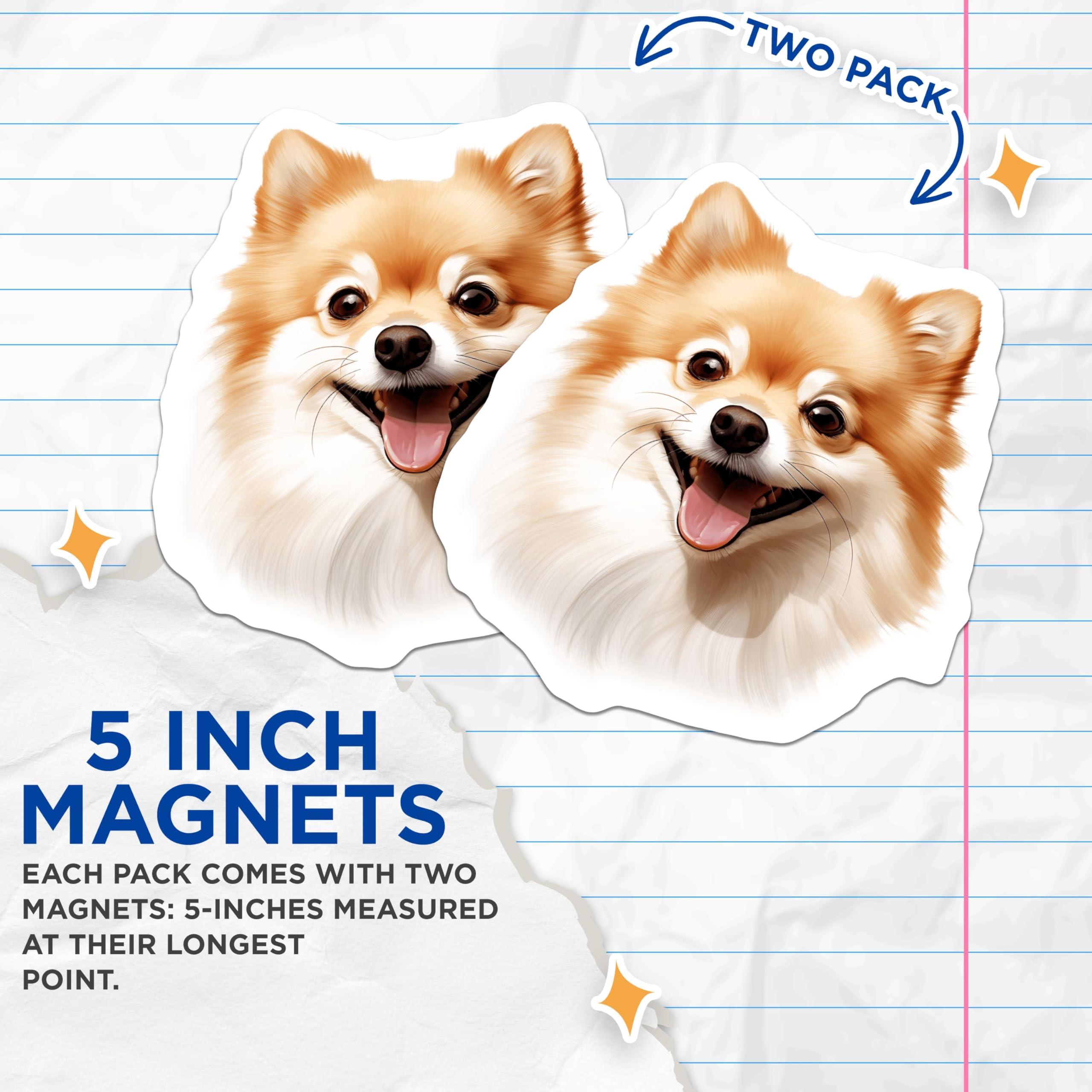 (2 Pack) Pomeranian Dog Magnets - Happy Fluffy Pet Lover - Cute Animal Refrigerator Accent - Dog Mom Dad Home Decor - 5 Inches On Longest Side - Thick Durable Magnet - Made in USA - MAG28083