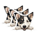 (3 Pack) Australian Shepherd Decals - Cute Dog Breed Stickers - Laptop Decal - 3 Inches On Longest Side - Easy Peel & Apply - Made in USA - 3MCS8660