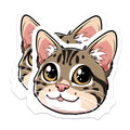 (2 Pack) Cute Cat Magnets - Tabby Kitty Decor - Kawaii Animal Refrigerator - Pet Lover Display - 5 Inches On Longest Side - Thick Durable Magnet - Made in USA - MAG36240