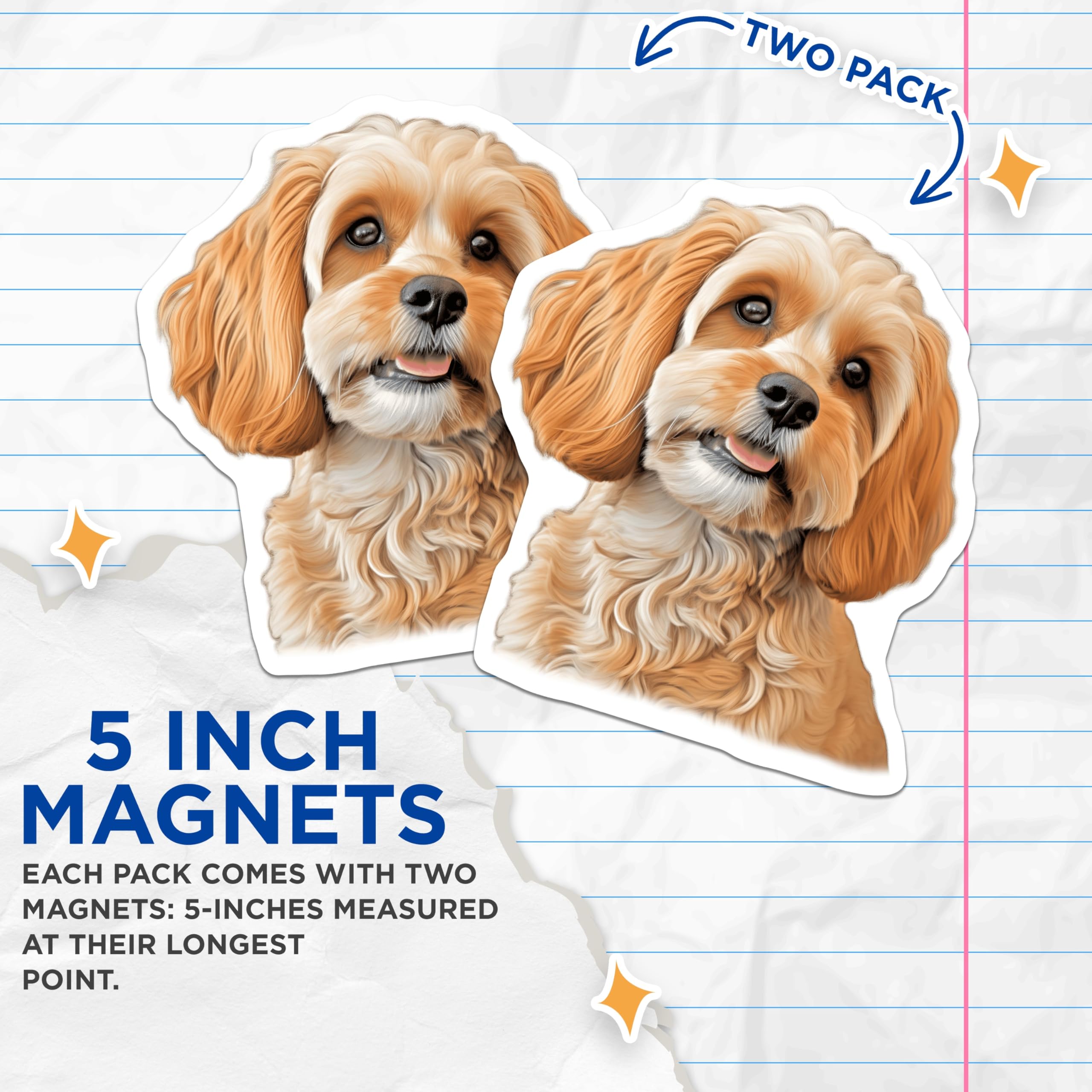 (2 Pack) Cavapoo Dog Magnets - Cute Puppy Fridge Locker Magnets - Pet Owner Animal Lover Decor - 5 Inches On Longest Side - Thick Durable Magnet - Made in USA - MAG26302