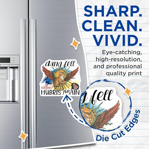 (2 Pack) Dang Fell Victim to Hubris Again Magnets - Cat with Wings - Humor Magnets - 5" On Longest Side - for Cars, Fridges, Toolboxes - Made in USA - MAG4348