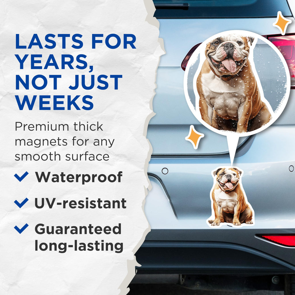 (2 Pack) English Bulldog Magnets - Adorable Dog Breed Art - Pet Lover Fridge Decor - Happy British Bulldog Locker Accessory - 5 Inches On Longest Side - Thick Durable Magnet - Made in USA - MAG24712