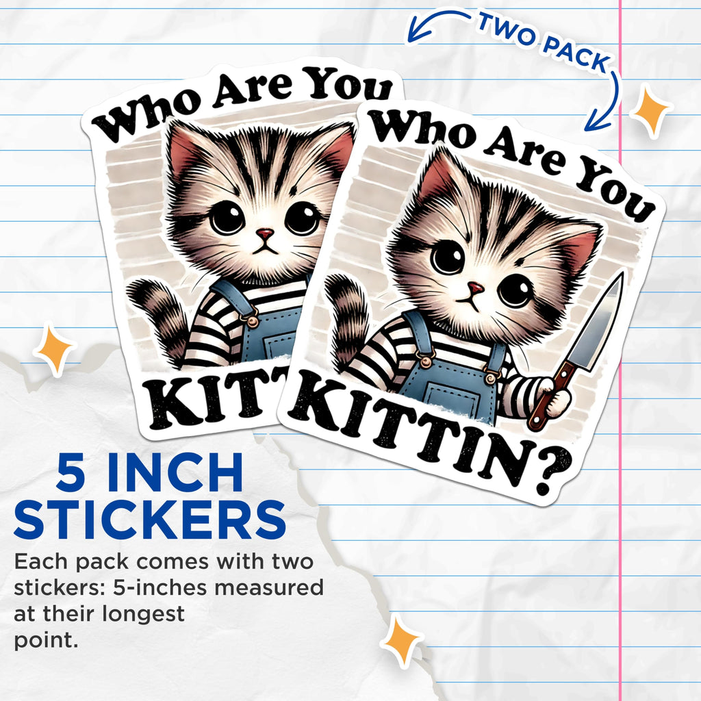 (2 Pack) Funny Cat Stickers - Cute Kitten Art - Sarcastic Animal Decals - 5" On Longest Side - Sticks to Smooth Flat Surfaces - Made in USA - BMCS15361