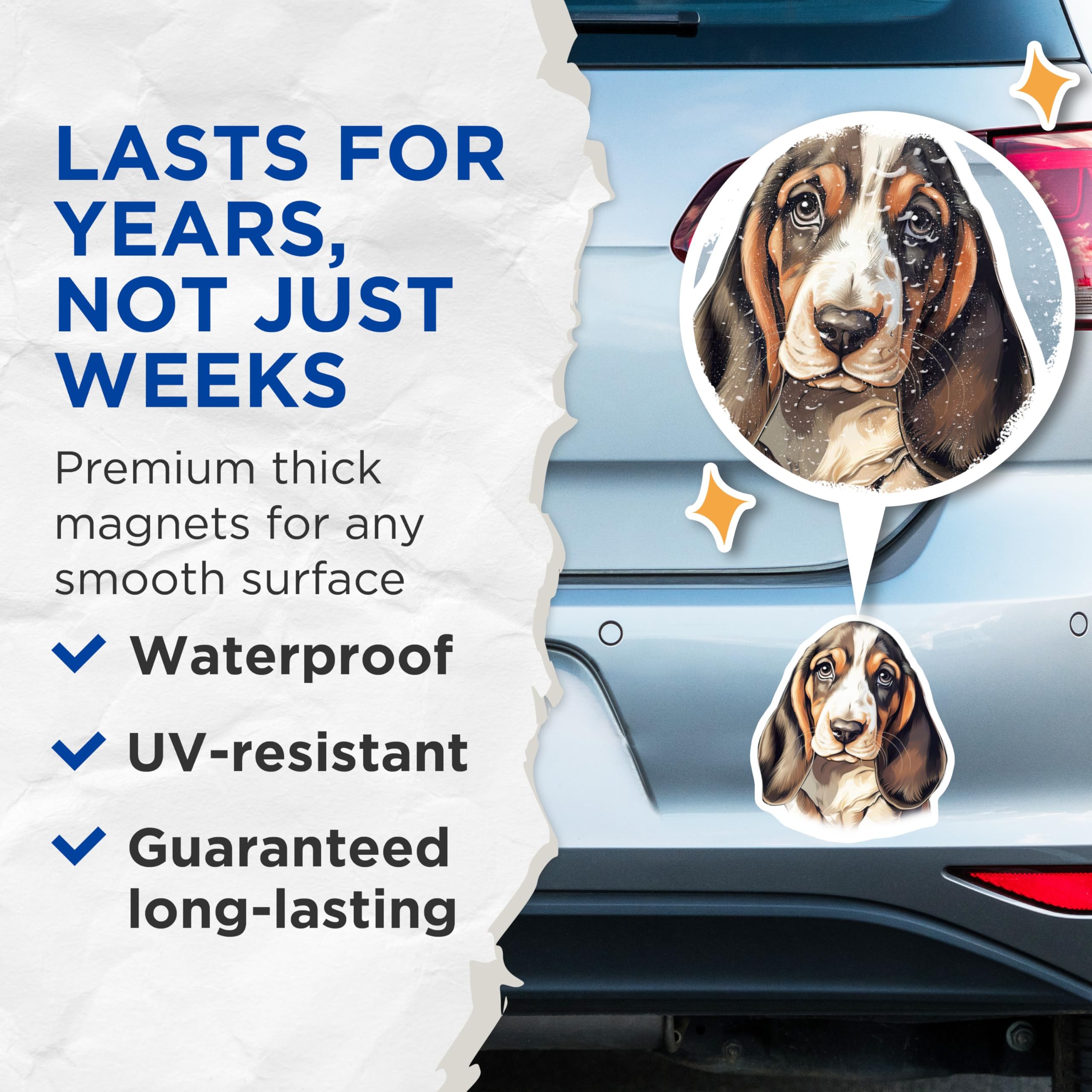 (2 Pack) Basset Hound Magnets - Dog Lover Decor - Floppy Ear Hound Dog Magnets - Pet Owner Refrigerator Art - 5 Inches On Longest Side - Thick Durable Magnet - Made in USA - MAG25483