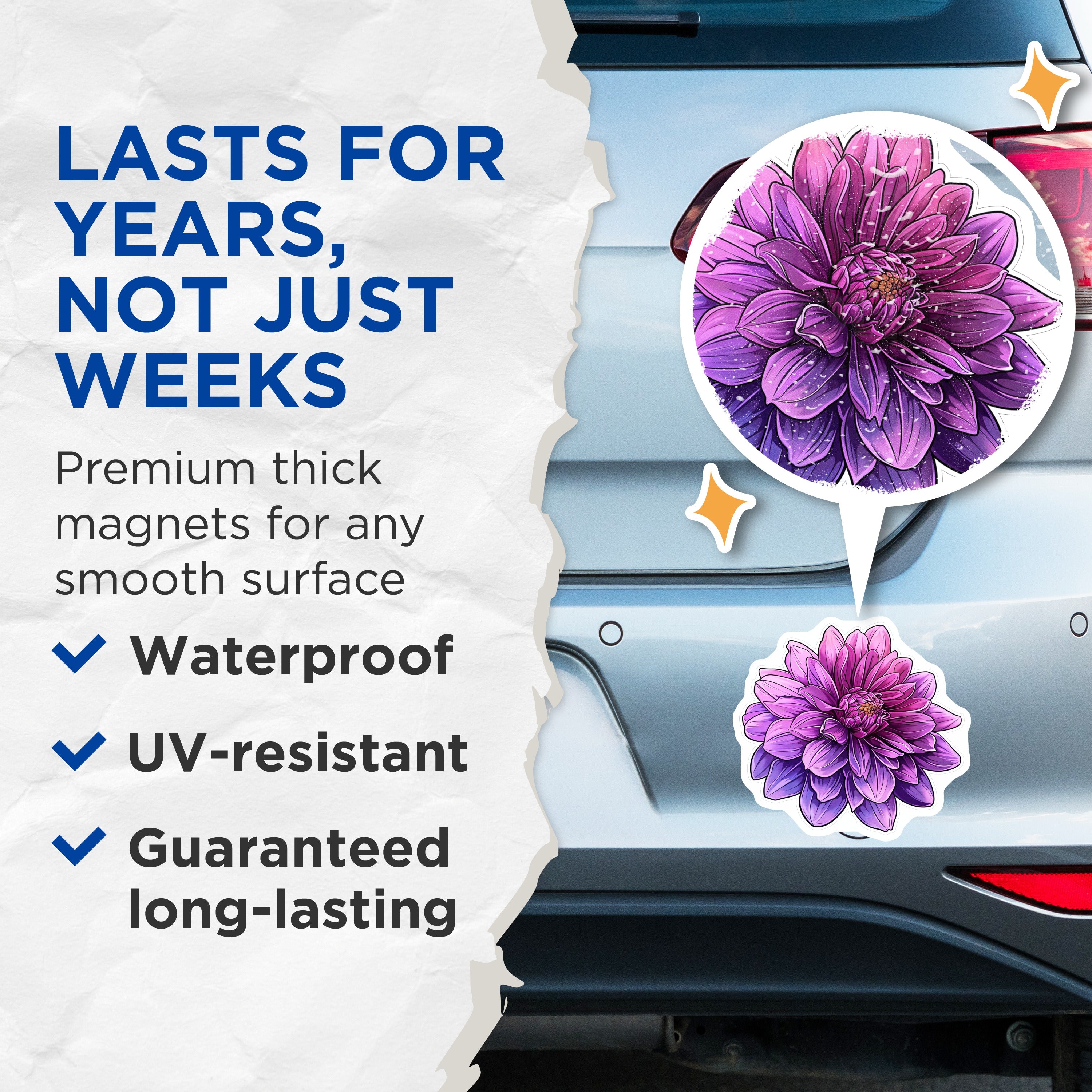 (2 Pack) Purple Dahlia Magnets - Vibrant Botanical Decor - Floral Aesthetic Office Magnets - 5 Inches On Longest Side - Thick Durable Magnet - Made in USA - MAG38496