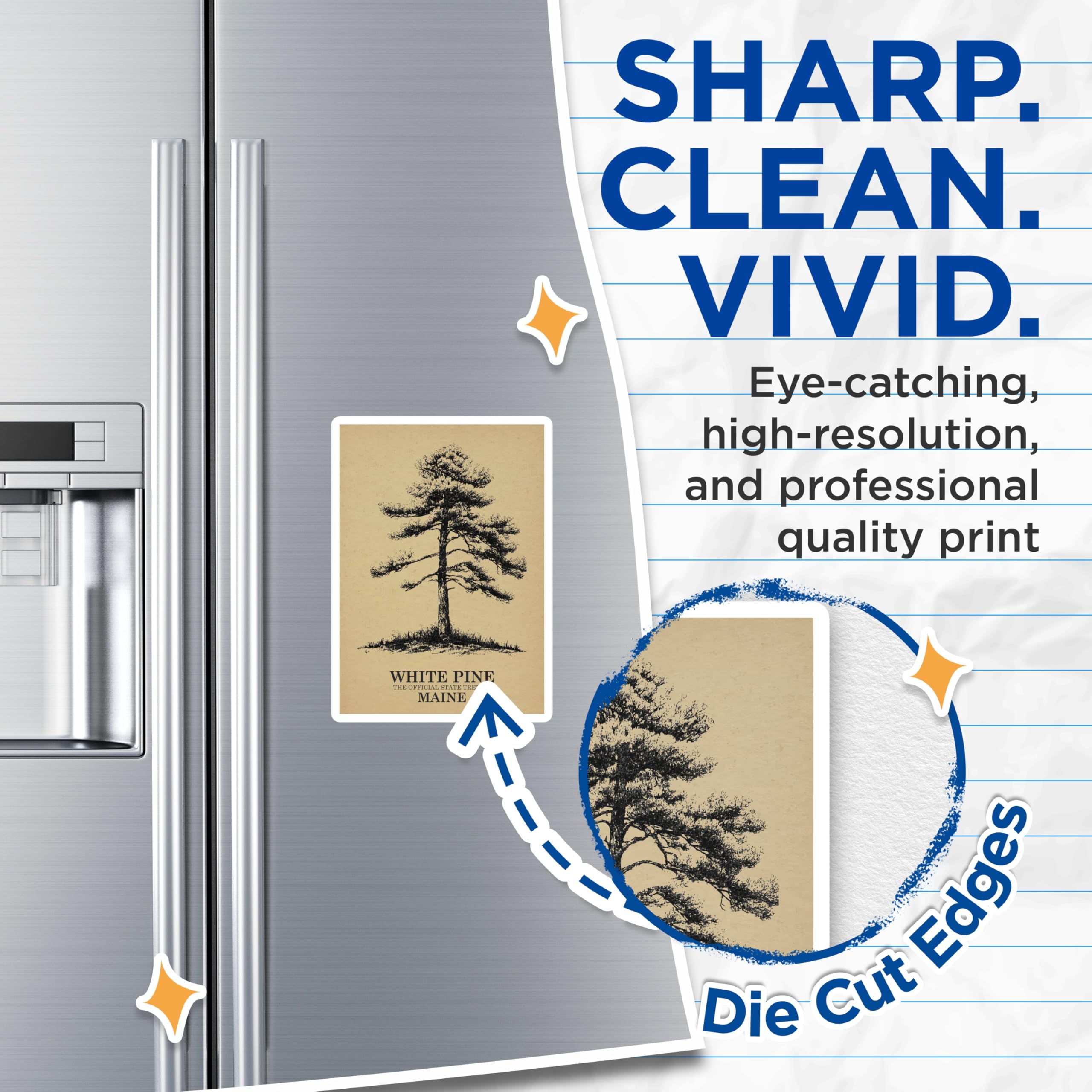 (2 Pack) White Pine Magnets - Maine State Tree - Botanical Decor - 5" On Longest Side - Premium Magnet - for Cars, Refrigerators, Toolboxes, Lockers - Made in USA - MAG18700