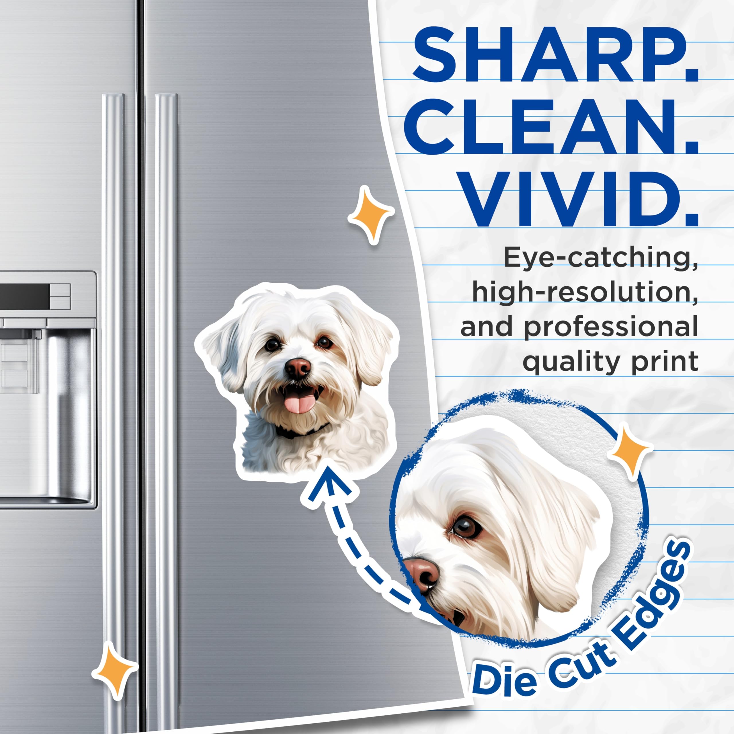 (2 Pack) Maltese Dog Magnets - Cute Puppy Decor - White Fluffy Canine Refrigerator Art - 5 Inches On Longest Side - Thick Durable Magnet - Made in USA - MAG23565