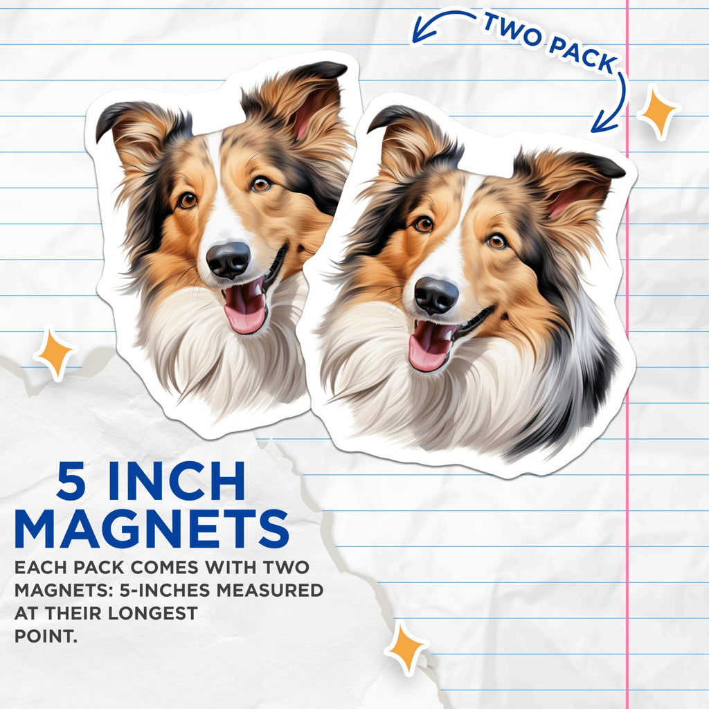 (2 Pack) Shetland Sheepdog Magnets - Happy Sheltie Dog Art - Collie Lover Refrigerator Decor - 5 Inches On Longest Side - Thick Durable Magnet - Made in USA - MAG26398