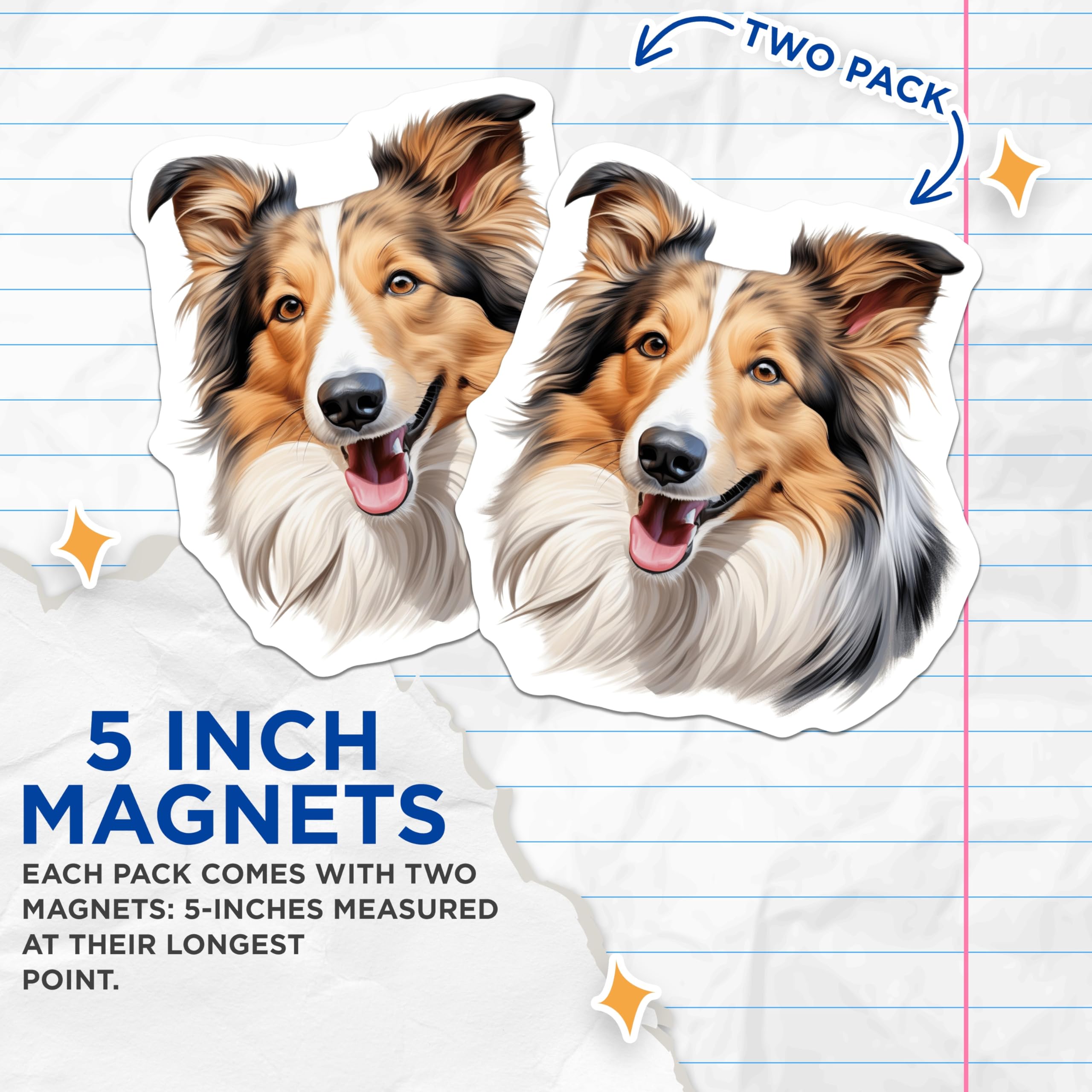 (2 Pack) Shetland Sheepdog Magnets - Happy Sheltie Dog Art - Collie Lover Refrigerator Decor - 5 Inches On Longest Side - Thick Durable Magnet - Made in USA - MAG26398