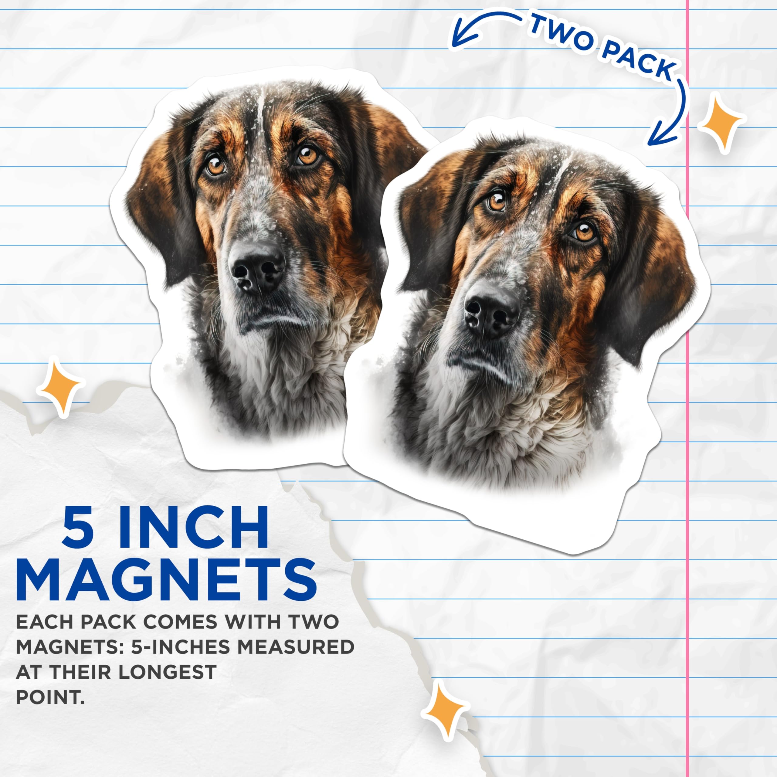 (2 Pack) Brindle Dog Portrait Magnets - Rustic Pet Animal Art - Dog Lover Fridge Decor - 5 Inches On Longest Side - Thick Durable Magnet - Made in USA - MAG26402