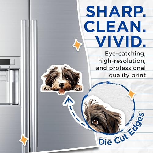 (2 Pack) Animal Lover Decor for Fridge or Locker Magnet - 5" On Longest Side - Sticks to Smooth Flat Surfaces - Made in USA - MAG10327