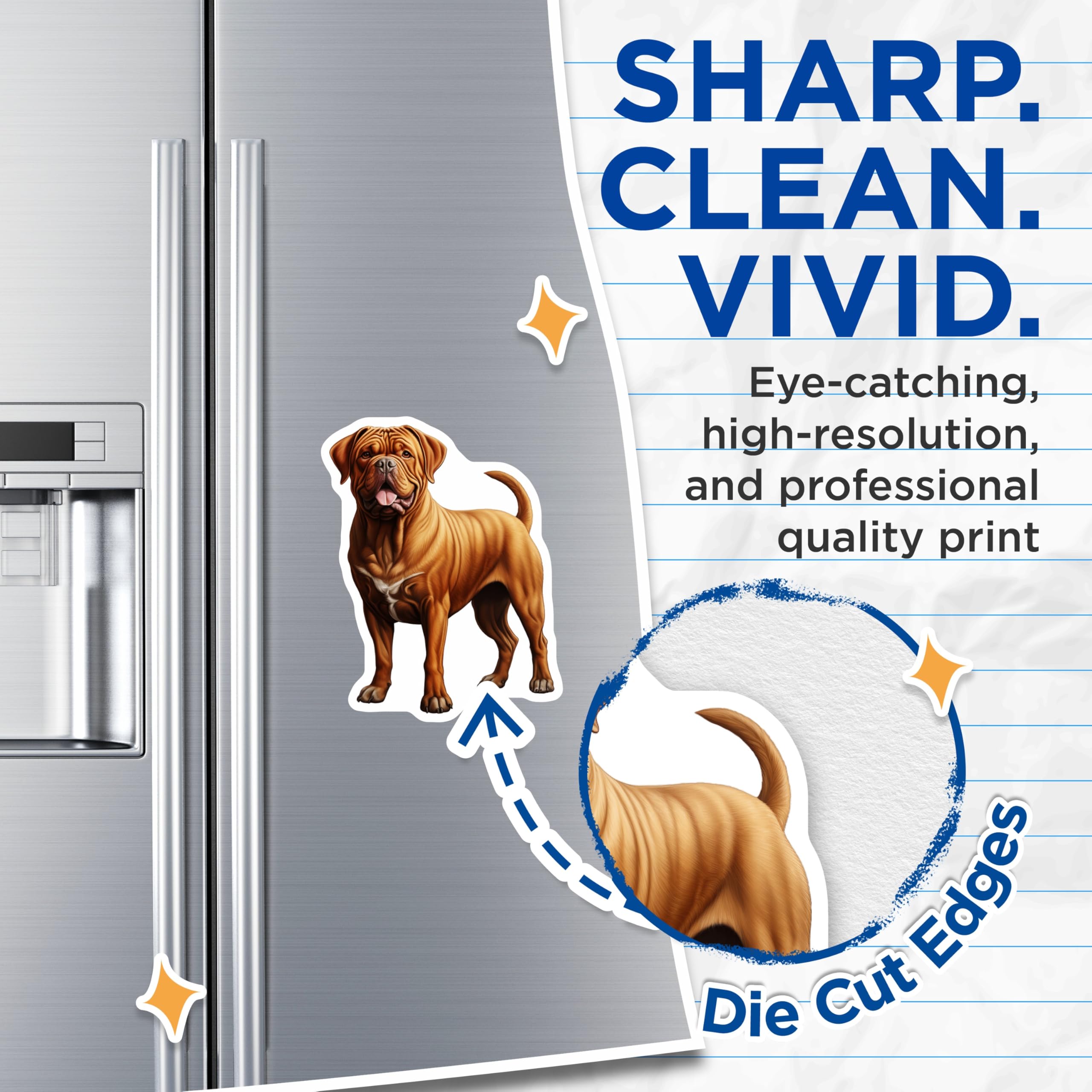(2 Pack) Dogue de Bordeaux Magnets - French Mastiff Pet Art - Dog Mom Refrigerator Decor - 5 Inches On Longest Side - Thick Durable Magnet - Made in USA - MAG28564