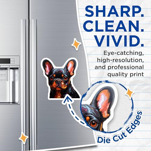 (2 Pack) French Bulldog Magnets - Dog Lover - Cute Puppy Magnets - Fridge Magnets - Animal Magnets for Office - 5" On Longest Side - for Cars, Fridges, Toolboxes - Made in USA - MAG3934