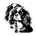 (2 Pack) Cavalier King Charles Spaniel Magnets - Dog Lover Decor - Pet Owner Accessory - 5 Inches On Longest Side - Thick Durable Magnet - Made in USA - MAG36012