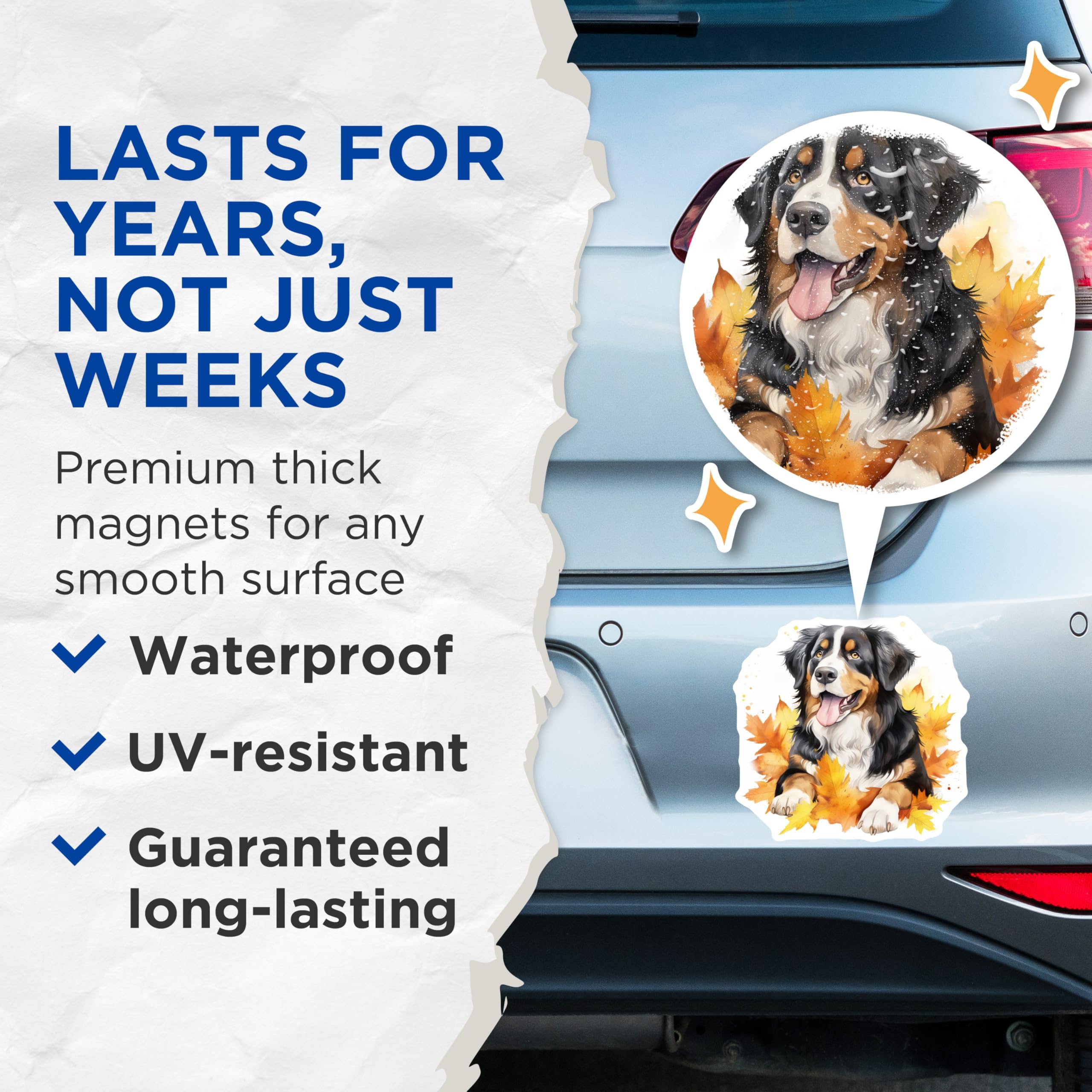 (2 Pack) Bernese Mountain Dog Magnets - Autumn Leaves Dog Art - Fall Decor Pet Lover - 5 Inches On Longest Side - Thick Durable Magnet - Made in USA - MAG28581
