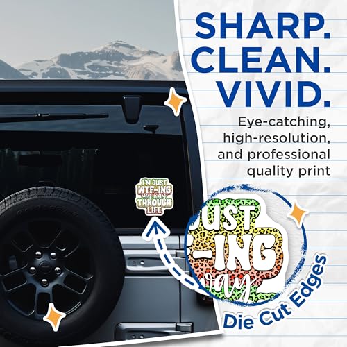 (2 Pack) WTF-ing My Way Through Life Stickers - Funny Quote Stickers - Rainbow Leopard Print Stickers - 5" On Longest Side - Sticks to Smooth Flat Surfaces - Made in USA - BMCS4105