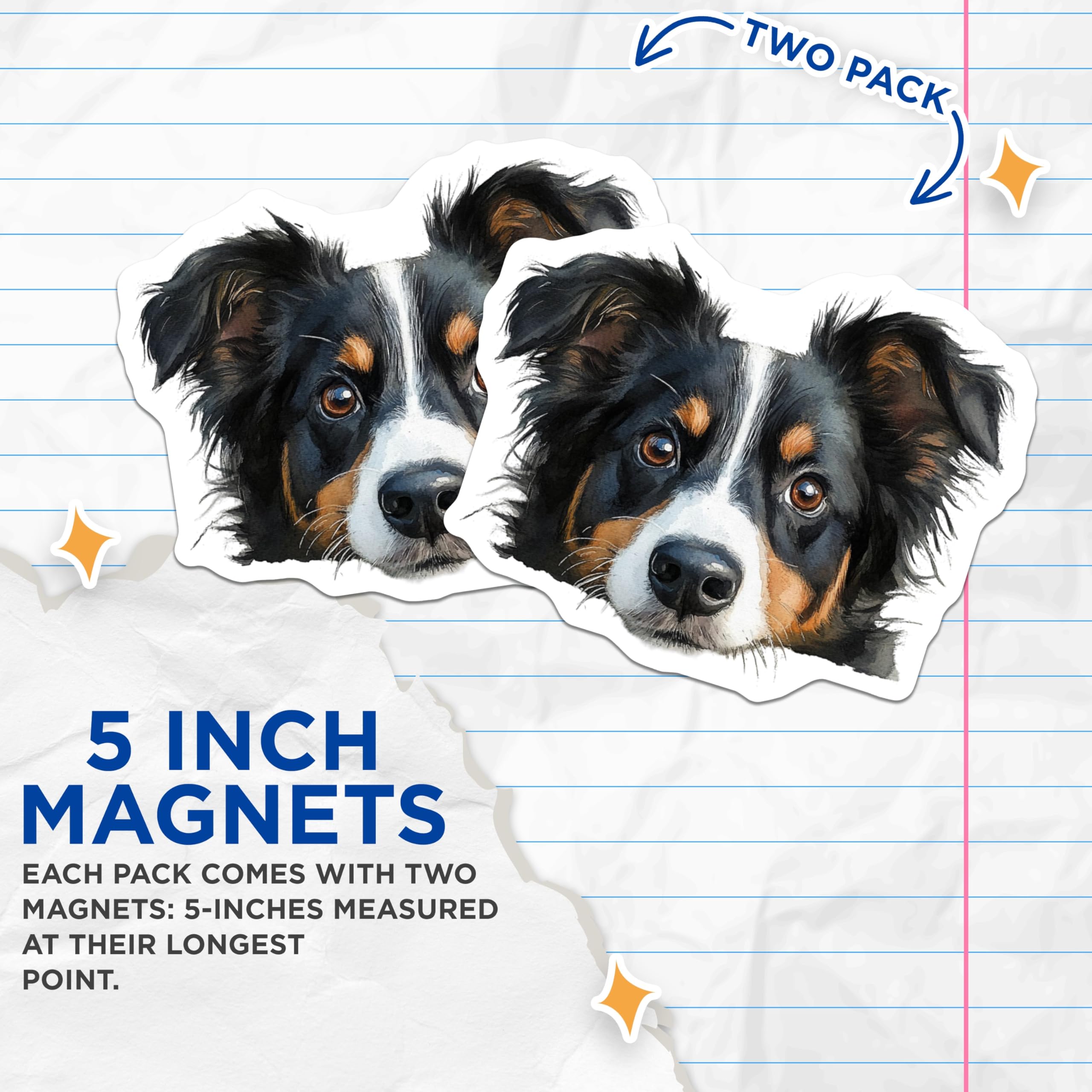 (2 Pack) Bernese Mountain Dog Magnets - Dog Lover Decor - Pet Refrigerator Decoration - 5" On Longest Side - Premium Magnet - for Cars, Refrigerators, Toolboxes, Lockers - Made in USA - MAG14351