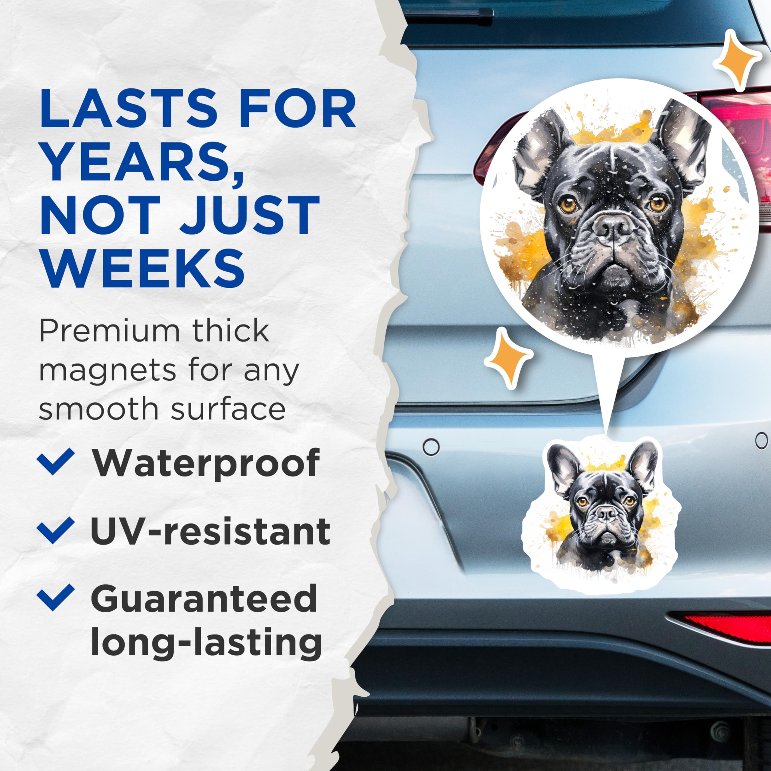 (2 Pack) French Bulldog Magnets - Watercolor Dog Art - Pet Parent Decor - 5 Inches On Longest Side - Thick Durable Magnet - Made in USA - MAG28353