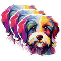 (3 Pack) Havanese Dog Decals - Colorful Dog Stickers - Laptop Decal - 3 Inches On Longest Side - Easy Peel & Apply - Made in USA - 3MCS0747