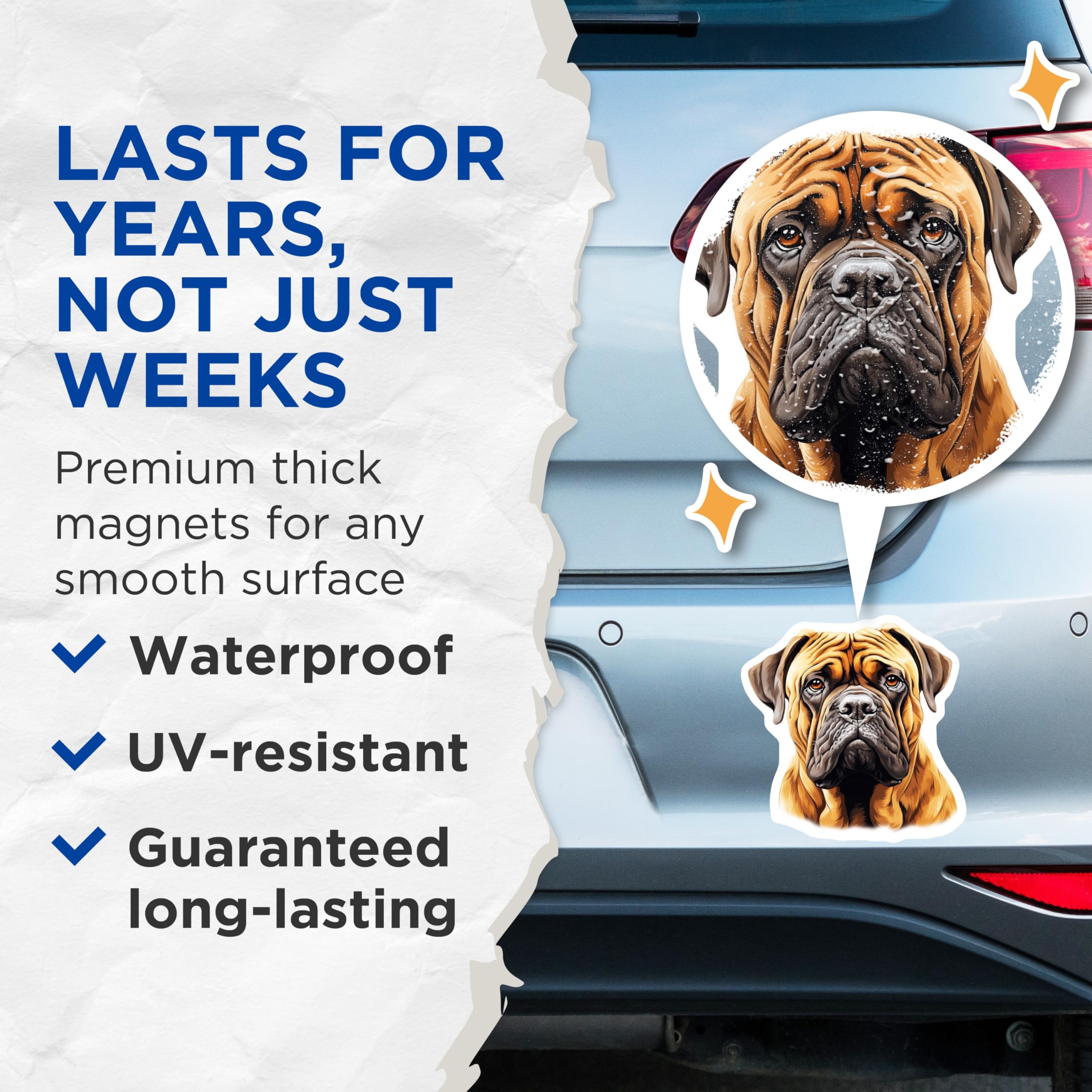 (2 Pack) Bullmastiff Dog Magnets - Realistic Canine Portrait - Pet Lover Home Decor - 5 Inches On Longest Side - Thick Durable Magnet - Made in USA - MAG27592