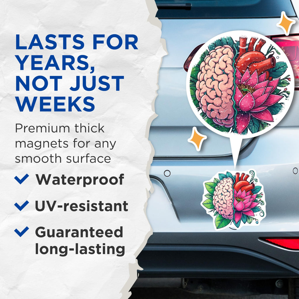 (2 Pack) Brain Heart Lotus Magnets - Anatomical Art Magnet - Mind Body Spirit Decor - 5 Inches On Longest Side - Thick Durable Magnet - Made in USA - MAG20084
