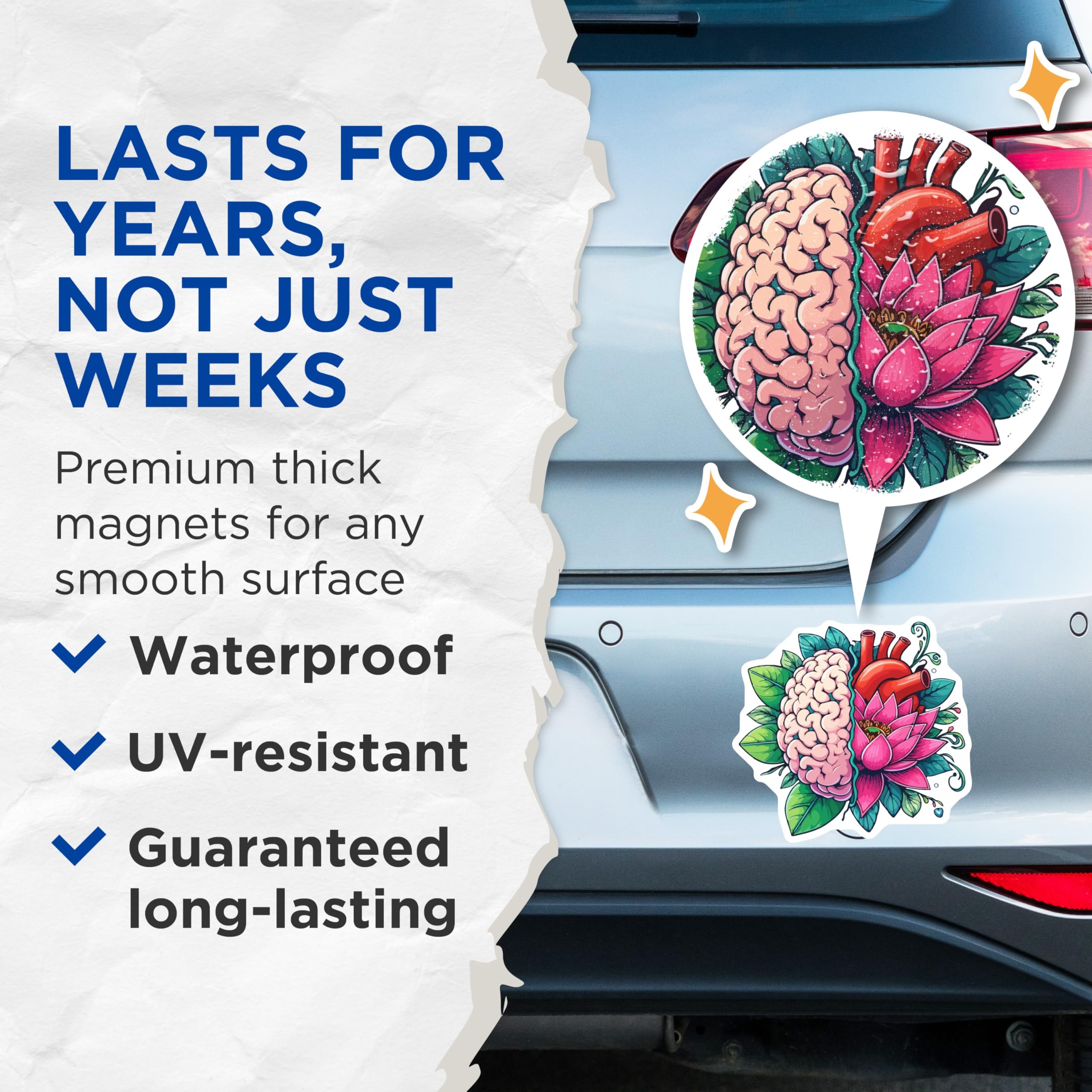 (2 Pack) Brain Heart Lotus Magnets - Anatomical Art Magnet - Mind Body Spirit Decor - 5 Inches On Longest Side - Thick Durable Magnet - Made in USA - MAG20084
