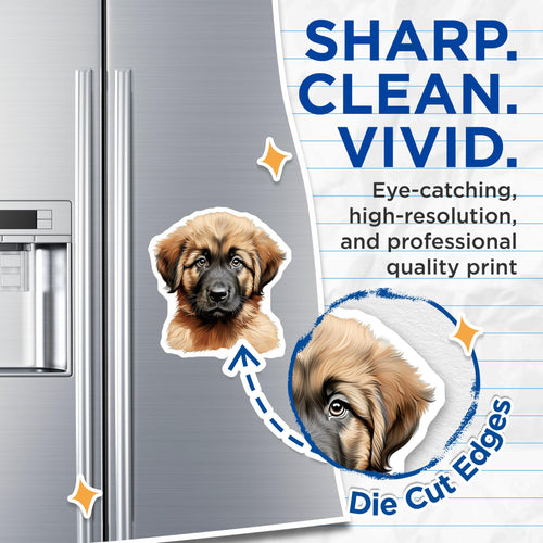(2 Pack) Adorable Puppy Magnets - Fluffy Dog Art - Pet Lover Refrigerator Decor - Cute Canine Home Accent - 5 Inches On Longest Side - Thick Durable Magnet - Made in USA - MAG24151