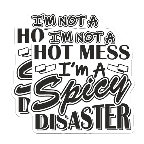 (2 Pack) Hot Mess Magnets Magnets - Black White Decorative Quotes - 5" On Longest Side - Made in USA - Sticks to Refrigerators & Metal Surfaces - MAG8912